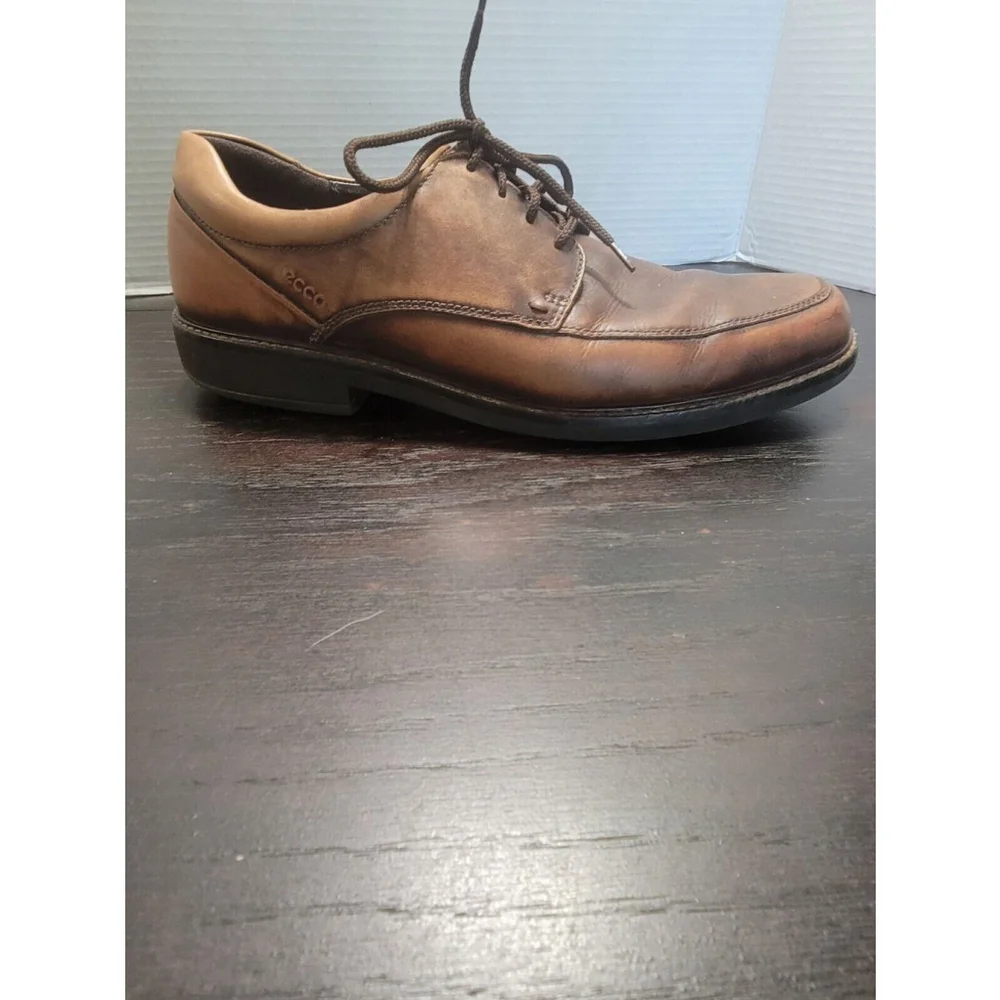 Ecco elevate your